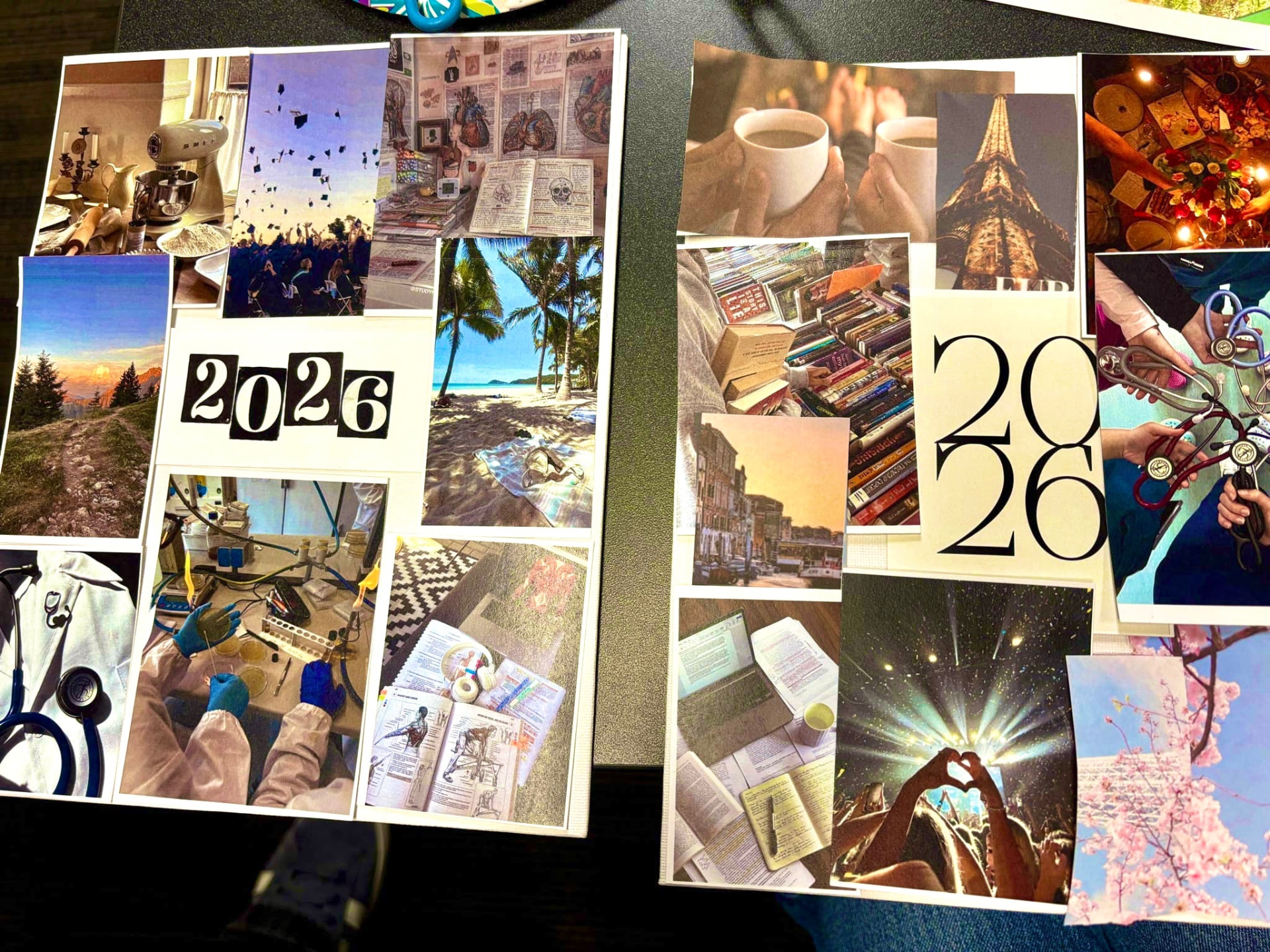 Members' 2026 pre-health vision boards spread across a table